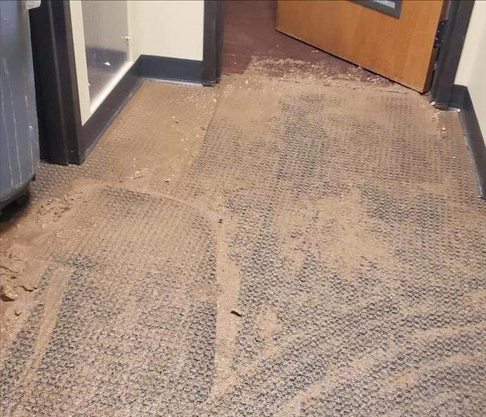 dirt on carpet