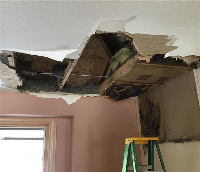Damaged ceiling and wet insulation.