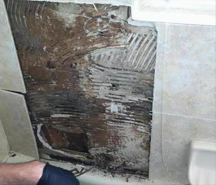 tile bathroom removal and mold found