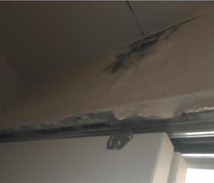 Black mold growth on ceiling due to roof leak